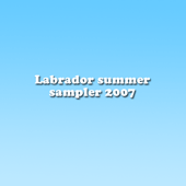 Discos: Labrador Summer Sampler 2007